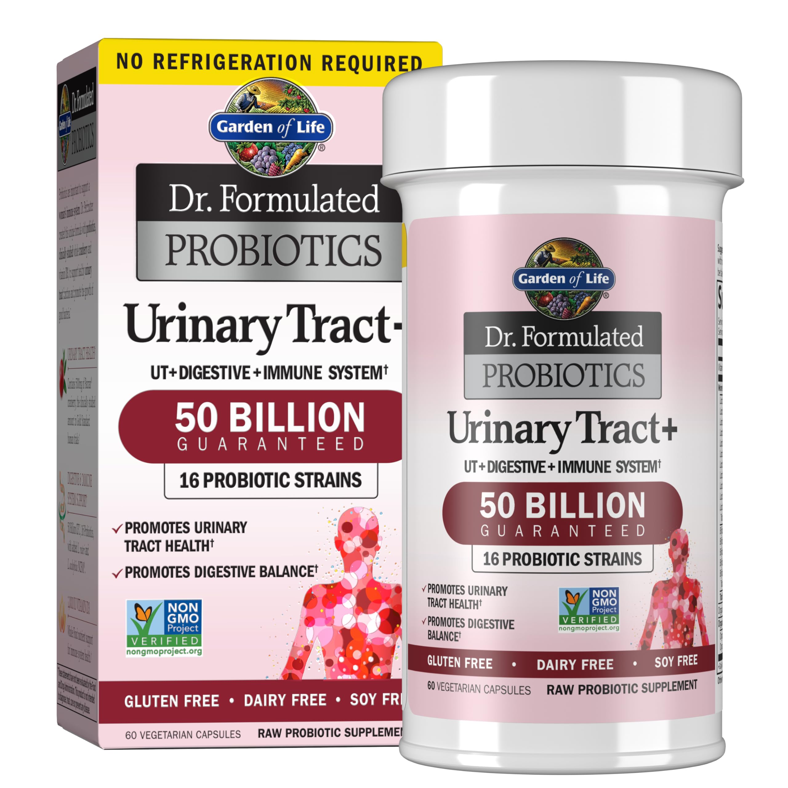 Best Probiotic For Bladder Infection