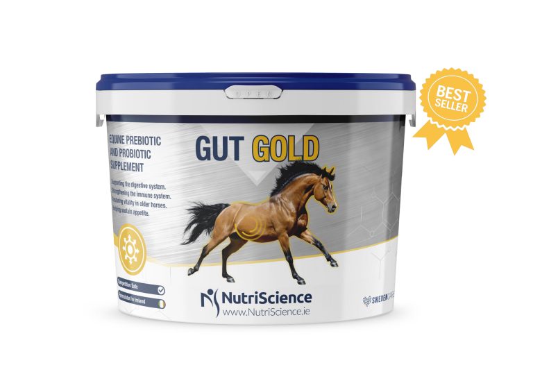 Best Probiotic For Horses