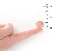 Best Probiotics For Teens