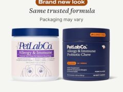 Best Probiotic For Allergies