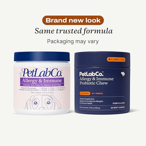 Best Probiotic For Allergies