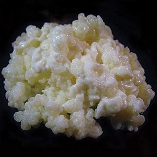 1 TBSP Milk Kefir Grains eBook
