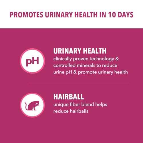 Best Dry Cat Food Urinary Tract Health