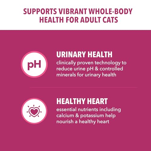 Best Urinary Health Cat Food