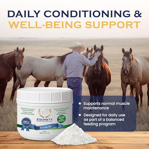 Best Horse Health Supplements For Performance Horses