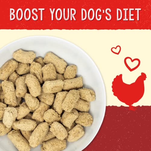 Best Dog Food For Heart Health