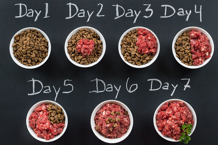 How To Start Raw Food Diet Dog