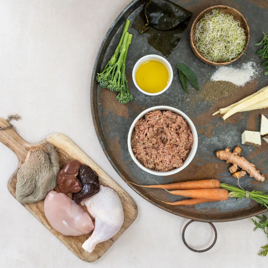 how to make a raw diet for dogs