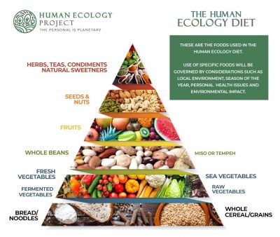 How Ecology Diet
