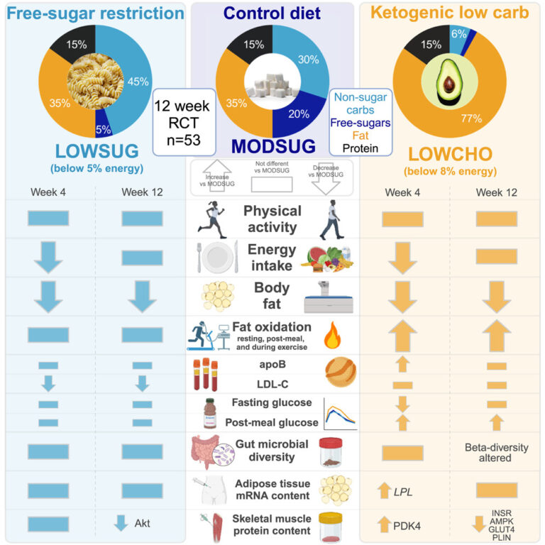 How Much Sugar On A Keto Diet
