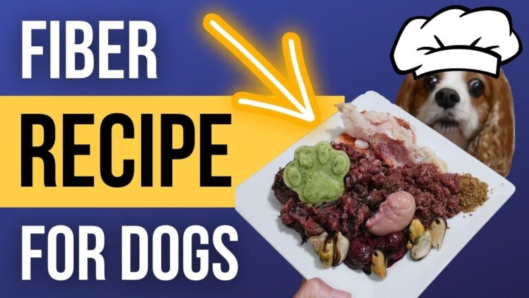 How Can I Get More Fiber In My Dogs Diet
