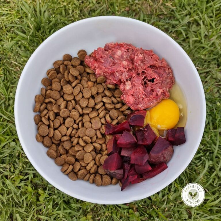 How Much Is A Raw Food Diet For Dogs